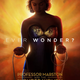 Illustration for article titled Updates on iStar Wars: The Last Jedi/i, iWonder Woman 2/i, em/emiHellboy/i, and More